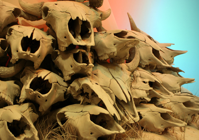 FTX New Exhibit Skull Pile