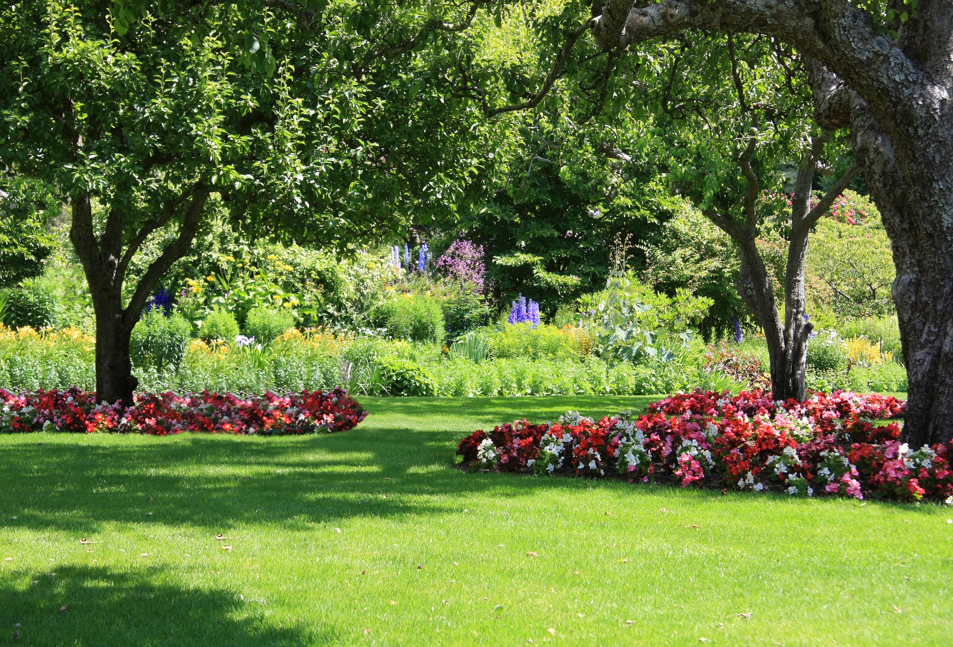 Loving Your Lawn - Abilene Scene