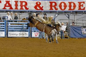 West Texas Fair and Rodeo 2025