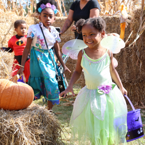 Boo-at-the-Zoo-Hay-maze