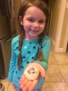 ElsieCookie Competition 2019