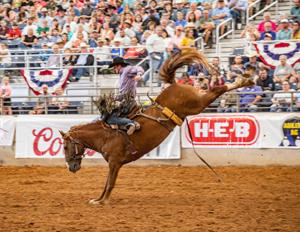West Texas Fair and Rodeo 21